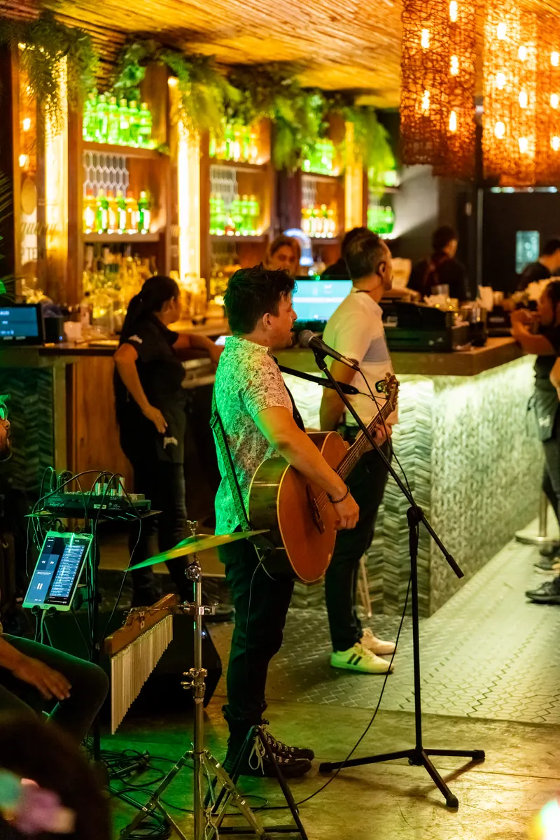Banda en vivo junto a la barra de Terrat