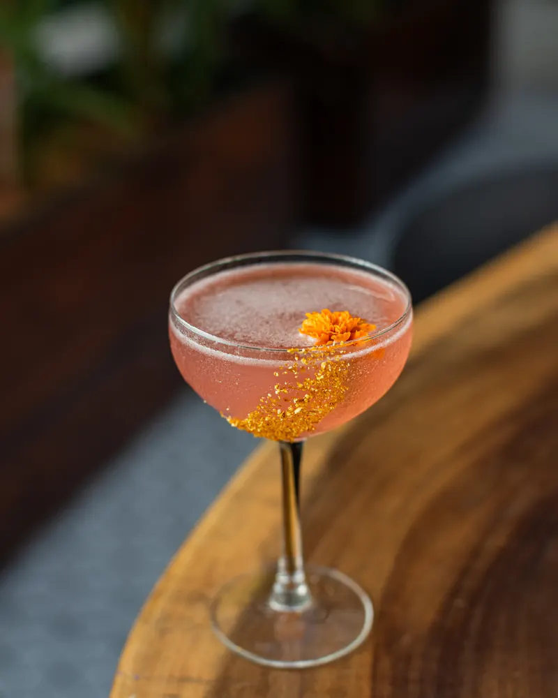 Cóctel en copa coupé sobre barra de madera en Terrat Rooftop